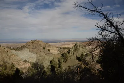 DSC_6257 (Large).JPG